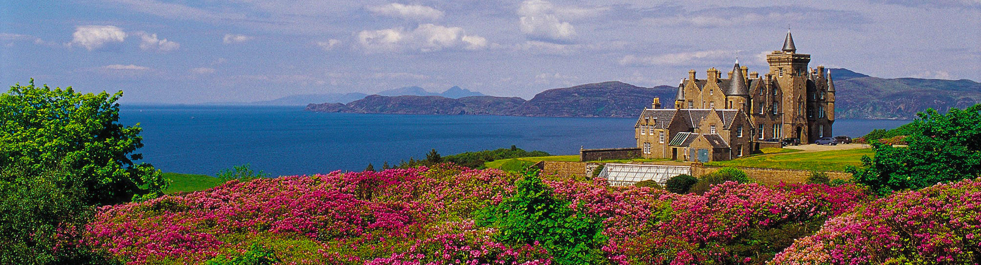 Scottish Cashmere Scarves Alberene Royal Mail