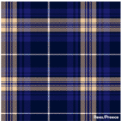 Load image into Gallery viewer, Welsh Tartan Ties