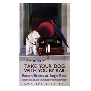 Take Your Dog Poster