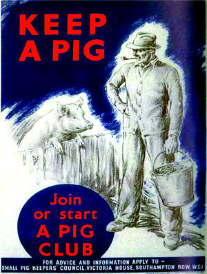 Pig Club Poster