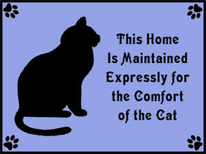 Comfort Of The Cat Poster