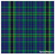 Load image into Gallery viewer, Welsh Tartan Ties
