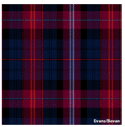 Load image into Gallery viewer, Welsh Tartan Ties
