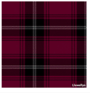 Load image into Gallery viewer, Welsh Tartan Ties
