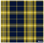 Load image into Gallery viewer, Welsh Tartan Ties

