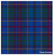 Load image into Gallery viewer, Welsh Tartan Ties
