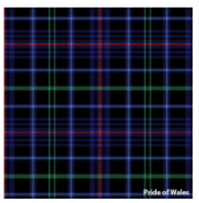 Load image into Gallery viewer, Welsh Tartan Ties
