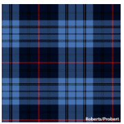 Load image into Gallery viewer, Welsh Tartan Ties

