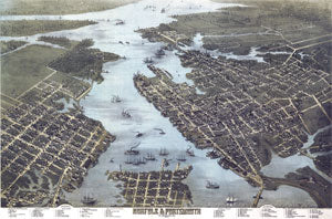 Norfolk & Portsmouth, Virginia 1873 Birdseye Map
