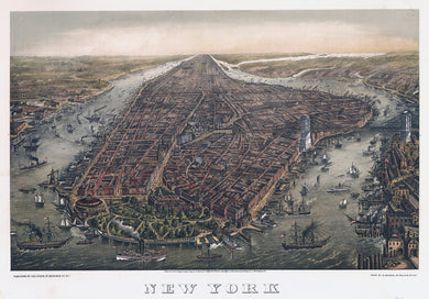 New York, New York 1870 Birdseye Map