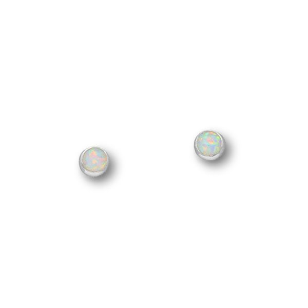Harlequin Silver Earrings SE365 White Opal