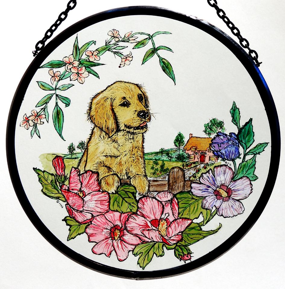 Retriever Pup at Cottage Roundel