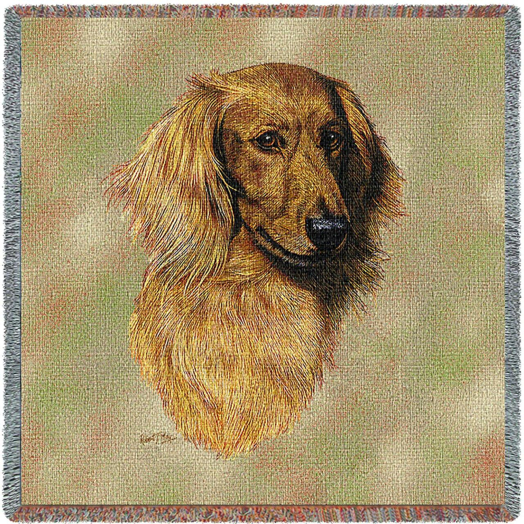 Long Haired Dachshund Red Cotton Lap Square