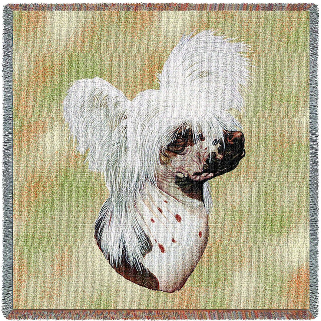 Chinese Crested Cotton Lap Square