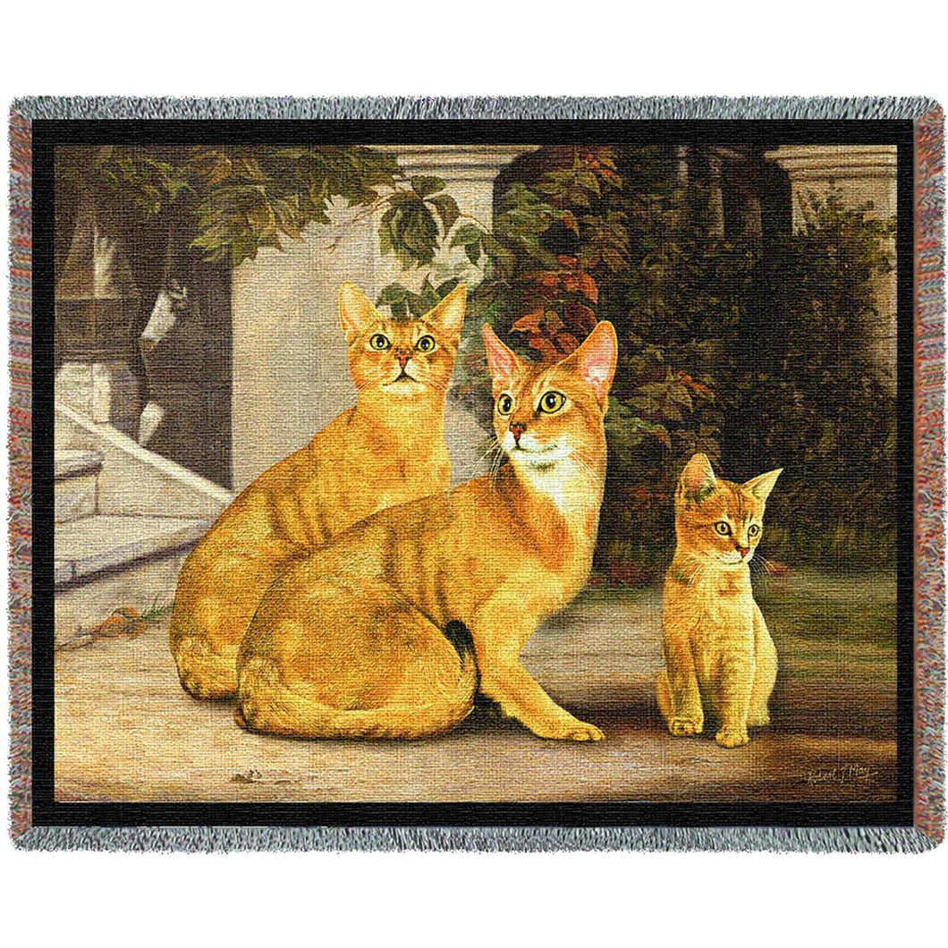 Abyssinian Family Cat Cotton Throw Blanket
