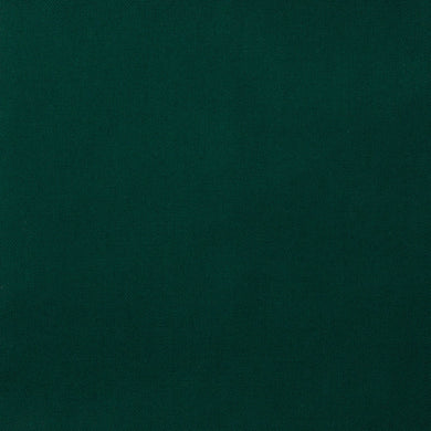 Green Modern Plain Coloured Light Weight Fabric