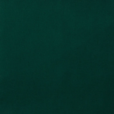 Green Modern Plain Coloured Light Weight Fabric